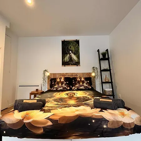 L'écrin De Pierre T1 Bis Balcon Appartamento