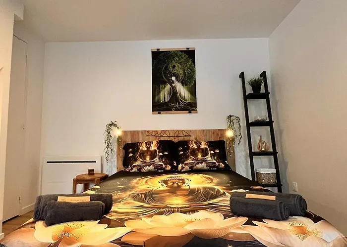 L'ecrin De Pierre T1 Bis Balcon Appartement