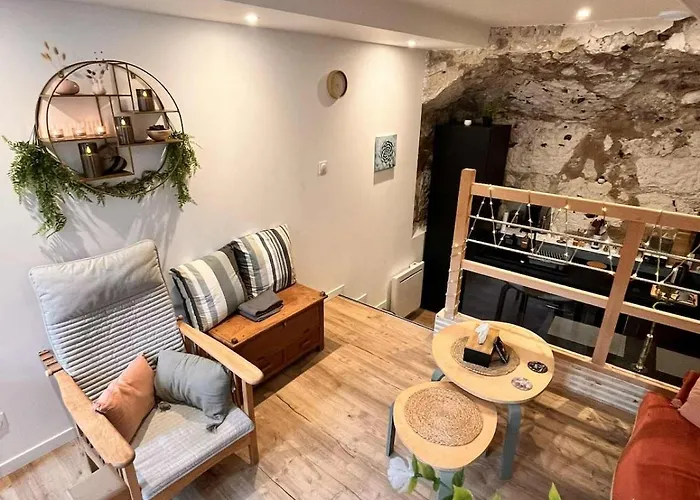 L'ecrin De Pierre T1 Bis Balcon Appartement Rouen